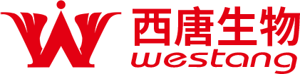 主頁-恢復(fù)的_03.png